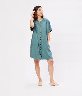 The Frieda Essential Day Dress in sliver pine